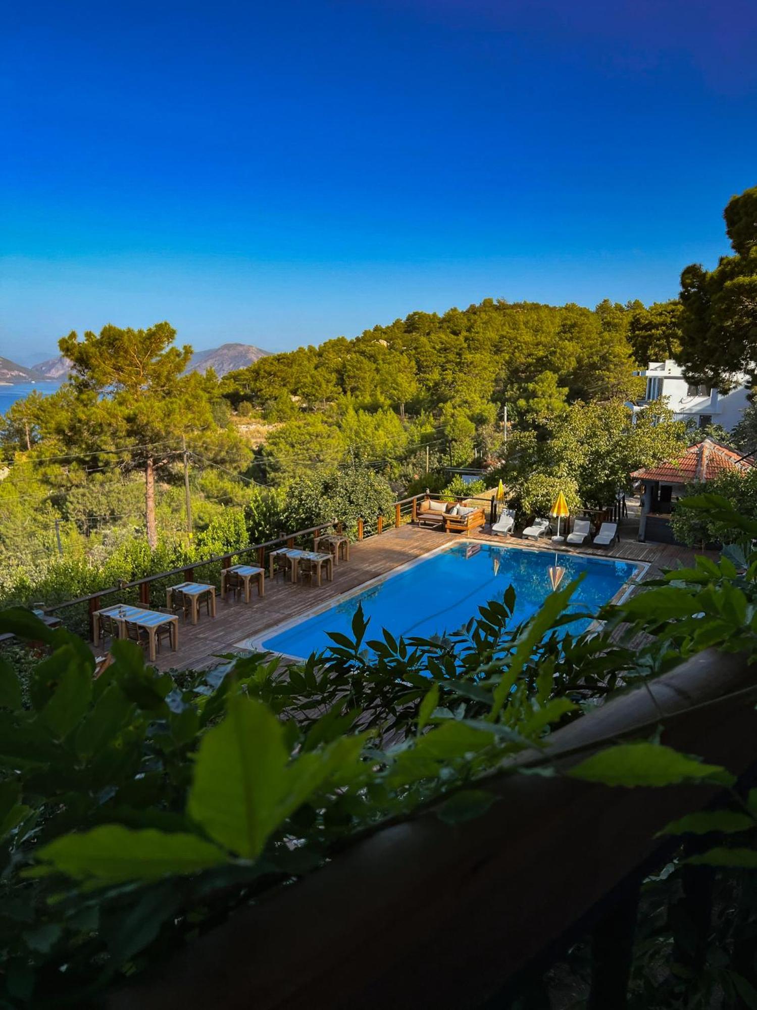 Faralia Hotel Faralya Oda fotoğraf