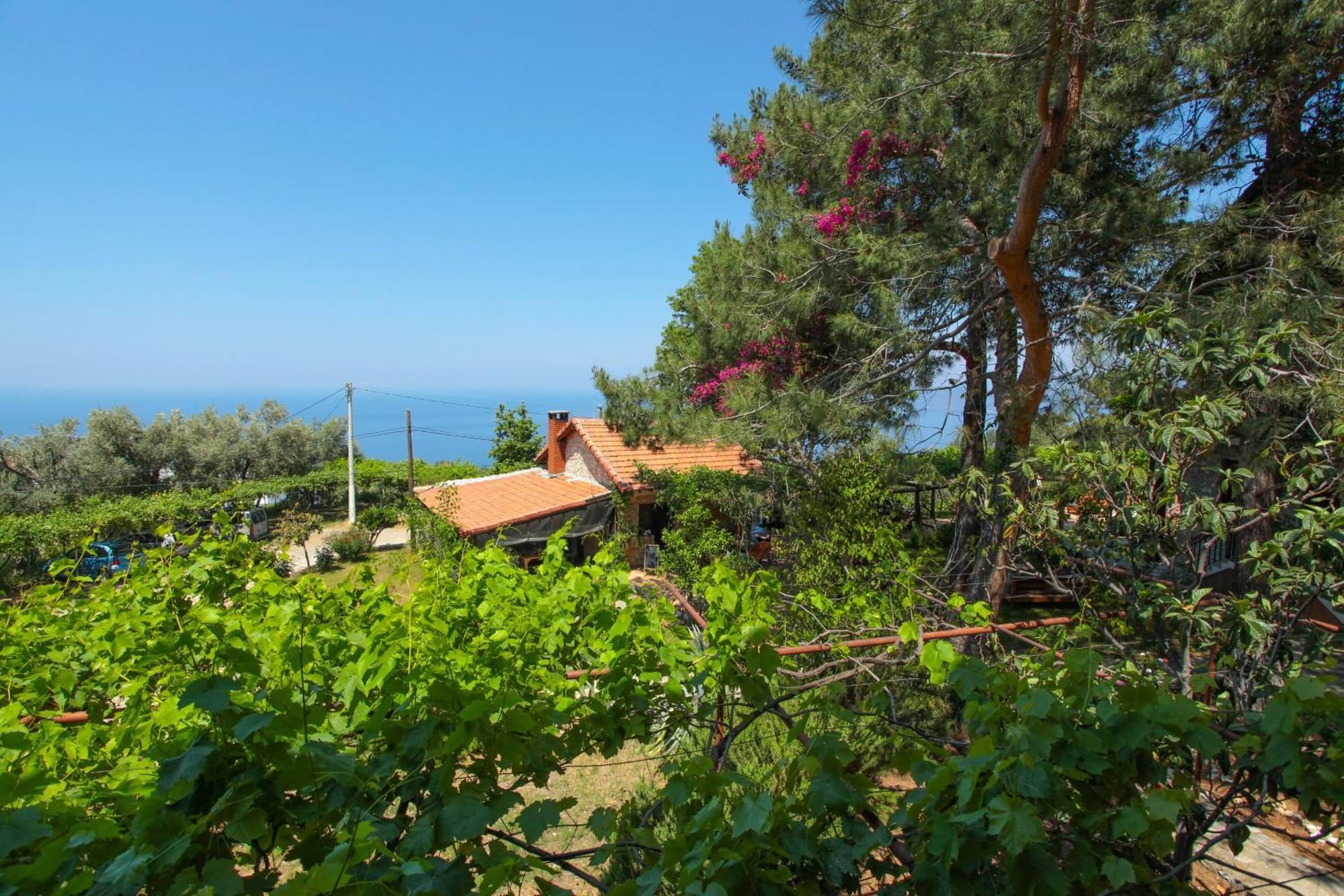 Faralia Hotel Faralya Oda fotoğraf